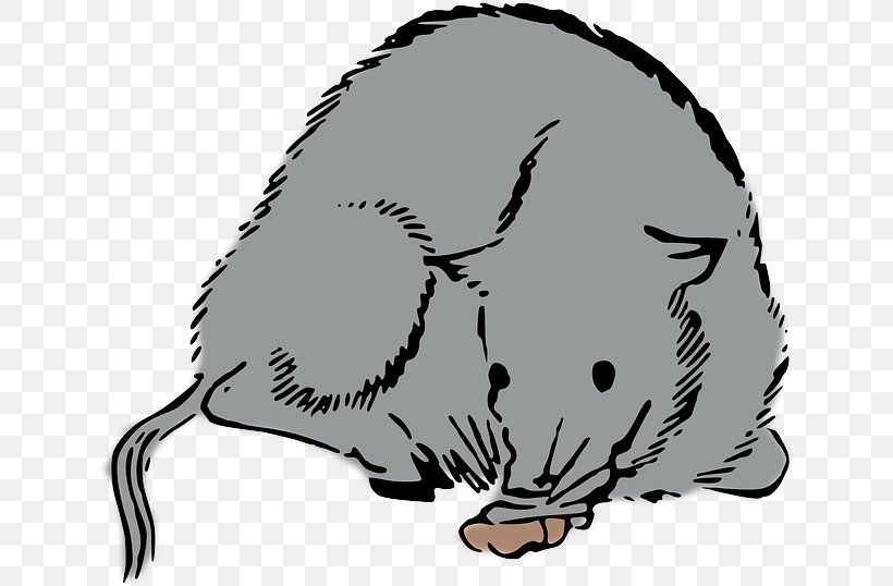 Rat Mouse Clip Art Whiskers Cat, PNG, 640x538px, Rat, Artwork, Beak, Beaver, Black And White Download Free