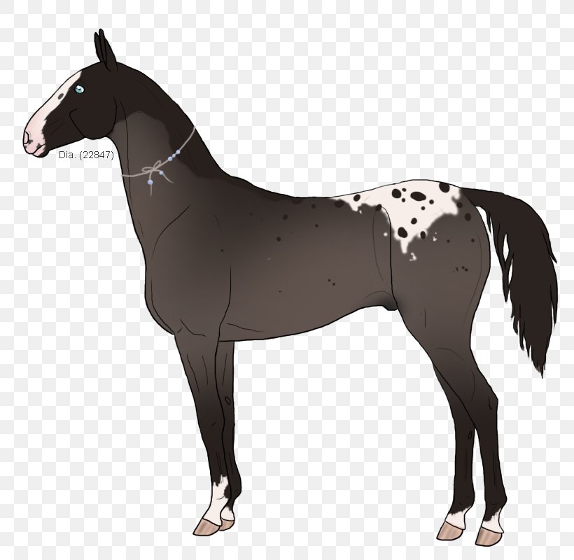 Mustang Stallion Akhal-Teke Mare Pony, PNG, 800x800px, Mustang, Akhalteke, Animal Figure, Blackandwhite, Film Download Free