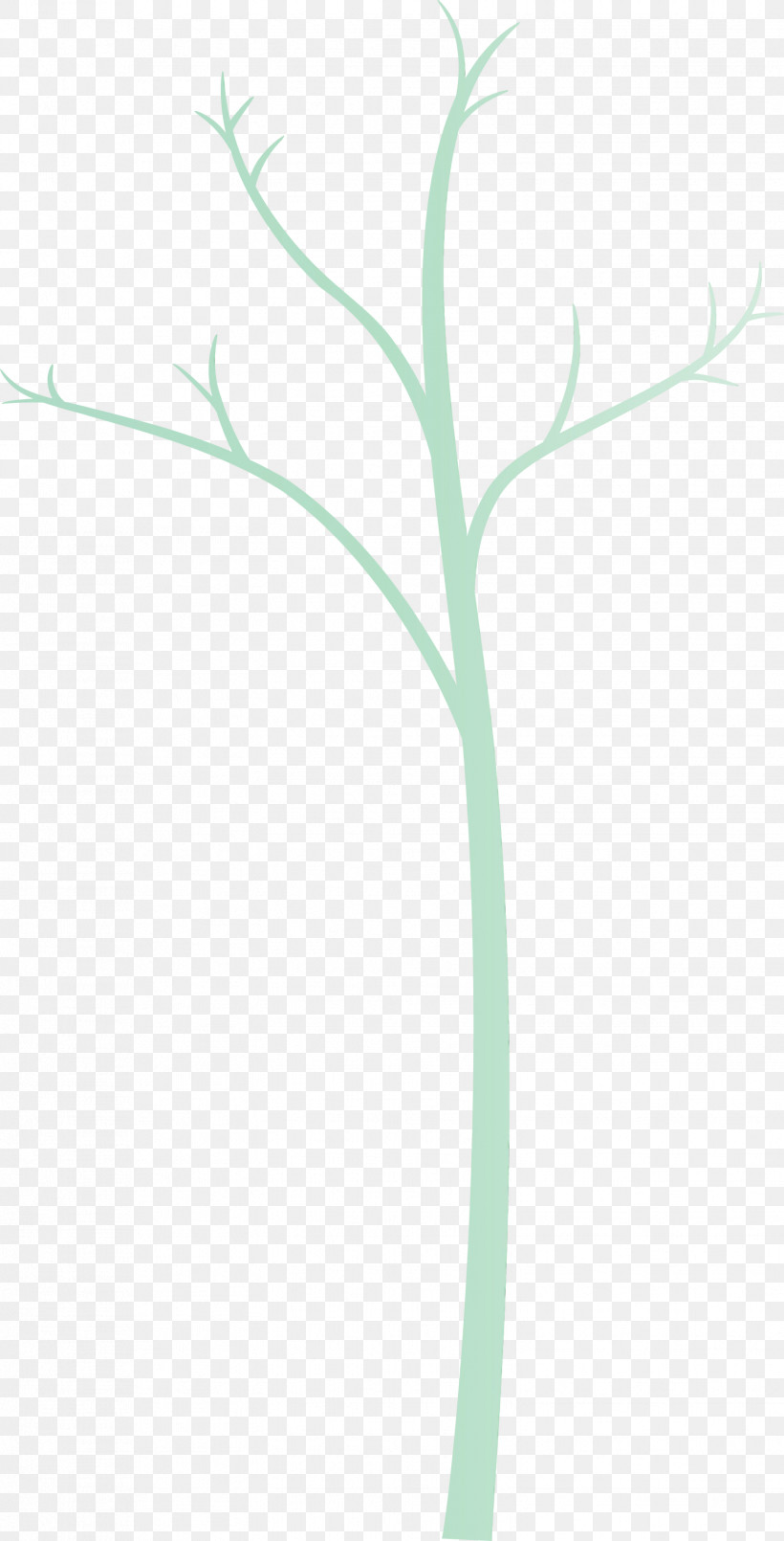 Green Leaf Plant Plant Stem Flower, PNG, 1527x2999px, Abstract Tree, Branch, Cartoon Tree, Flower, Grass Download Free