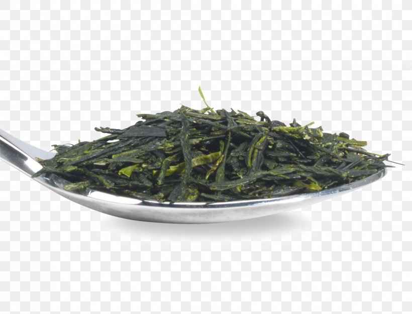 Gyokuro Nilgiri Tea Oolong Hōjicha Bancha, PNG, 1960x1494px, Gyokuro, Assam Tea, Bai Mudan, Bancha, Biluochun Download Free