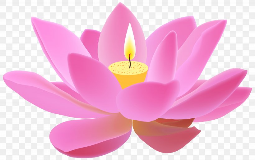 Nelumbo Nucifera Clip Art, PNG, 5000x3144px, Nelumbo Nucifera, Aquatic Plant, Buddhism, Candle, Candlestick Download Free