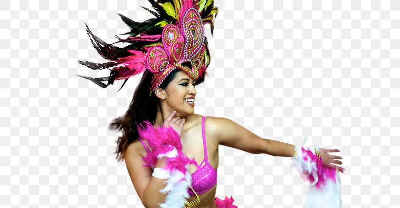 Pink M Feather RTV Pink Hair Carnival Cruise Line, PNG, 640x427px, Pink M, Carnival, Carnival Cruise Line, Clothing Accessories, Dancer Download Free