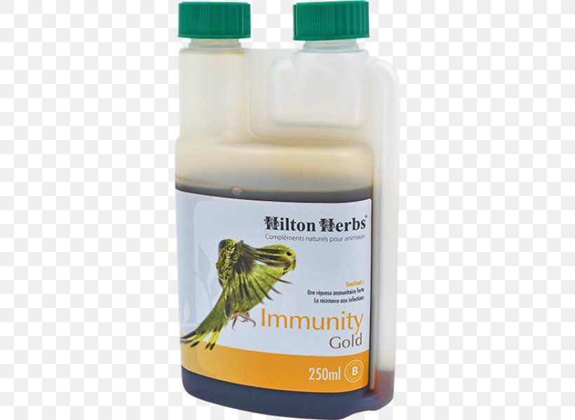 Bird Rock Dove Dietary Supplement Immunity Immune System, PNG, 600x600px, Bird, Animal, Dietary Supplement, Gastrointestinal Tract, Health Download Free