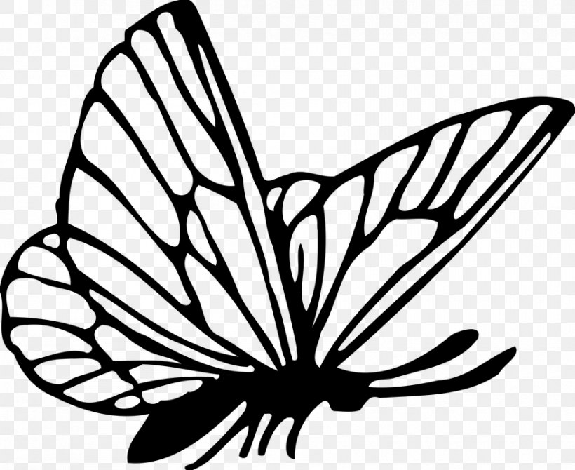 Butterfly Drawing Clip Art, PNG, 881x720px, Butterfly, Artwork, Black And White, Brush Footed Butterfly, Brushfooted Butterflies Download Free