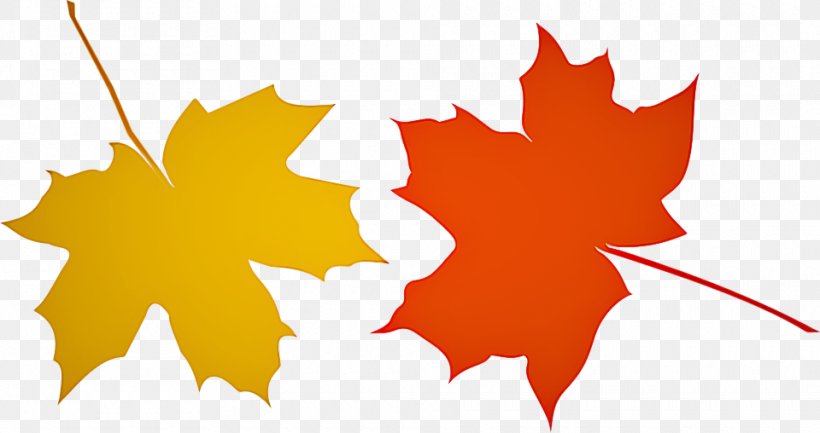 Maple Leaf, PNG, 960x508px, Leaf, Black Maple, Maple, Maple Leaf, Orange Download Free