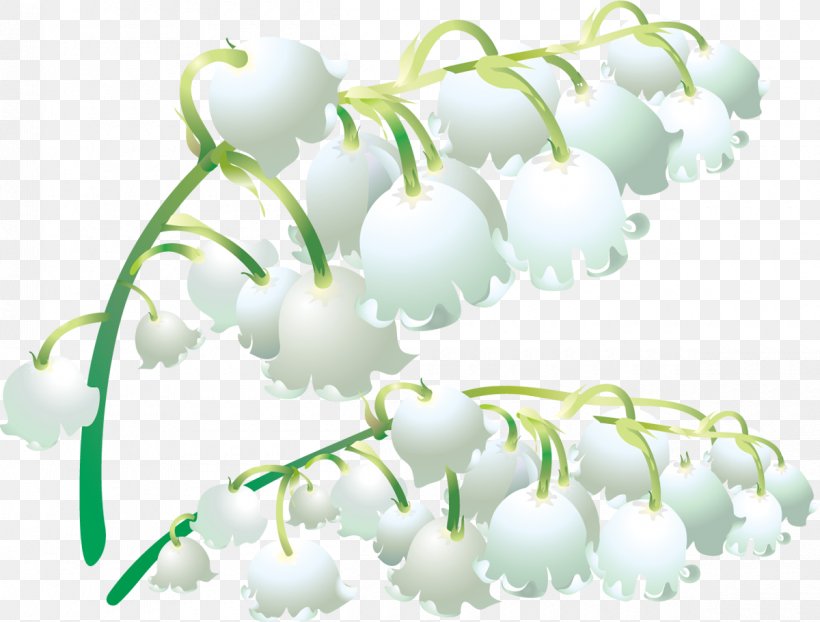 Plant Stem Petal Flower Lily Of The Valley, PNG, 1200x911px, Plant, Branch, Computer, Flower, Grass Download Free