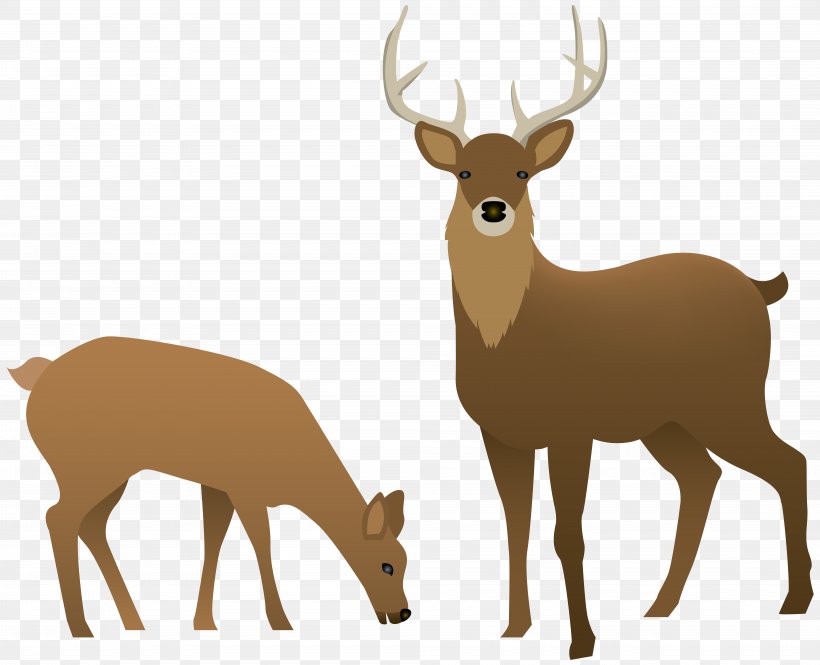 Reindeer Clip Art, PNG, 8000x6492px, Deer, Antler, Digital Image, Elk, Mammal Download Free