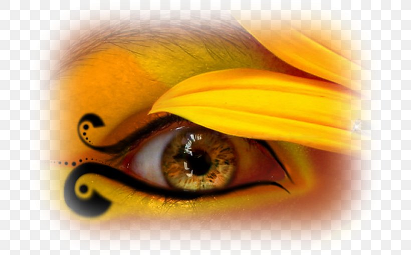 Red Eye Color Desktop Wallpaper, PNG, 701x510px, Eye, Close Up, Color, Eye Color, Eye Shadow Download Free