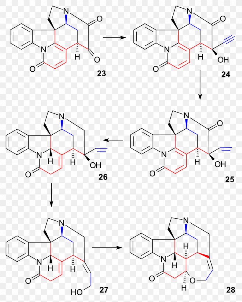 Strychnine Total Synthesis Allylic Rearrangement Chemical Synthesis Chemistry, PNG, 928x1160px, Strychnine Total Synthesis, Allyl Group, Area, Biomolecule, Brook Rearrangement Download Free