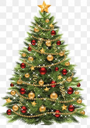 Christmas Tree Clip Art, PNG, 536x600px, Christmas Tree, Christmas ...