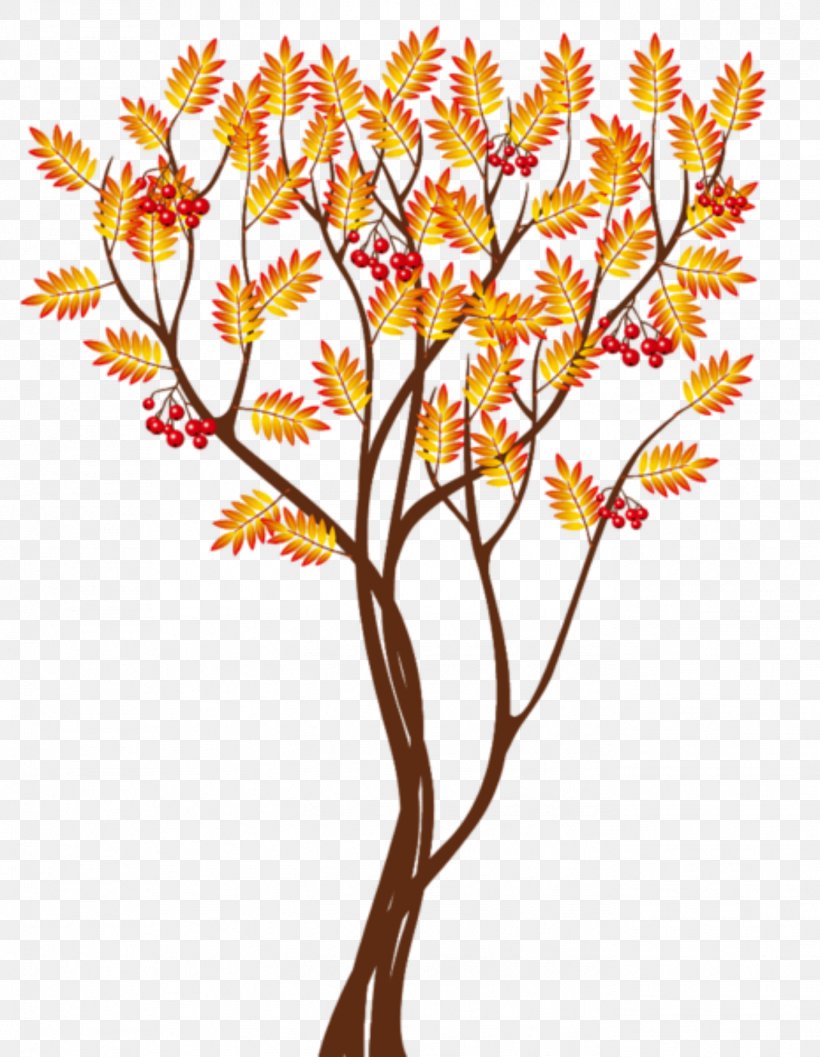Clip Art Autumn Tree Desktop Wallpaper Image, PNG, 1373x1771px, Autumn, Autumn Leaf Color, Branch, Cut Flowers, Flora Download Free