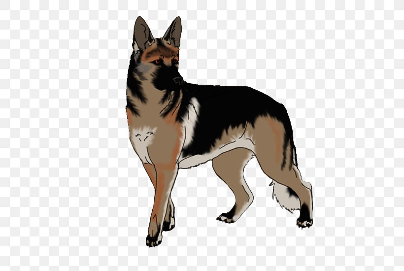 Dog Breed German Shepherd Tail, PNG, 784x550px, Dog Breed, Breed, Carnivoran, Dog, Dog Breed Group Download Free