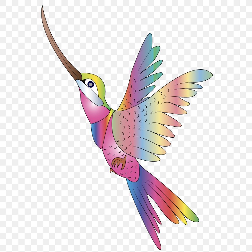 Hummingbird Clip Art Openclipart Vector Graphics Image, PNG, 567x822px, Hummingbird, Beak, Bird, Colibri Group, Drawing Download Free