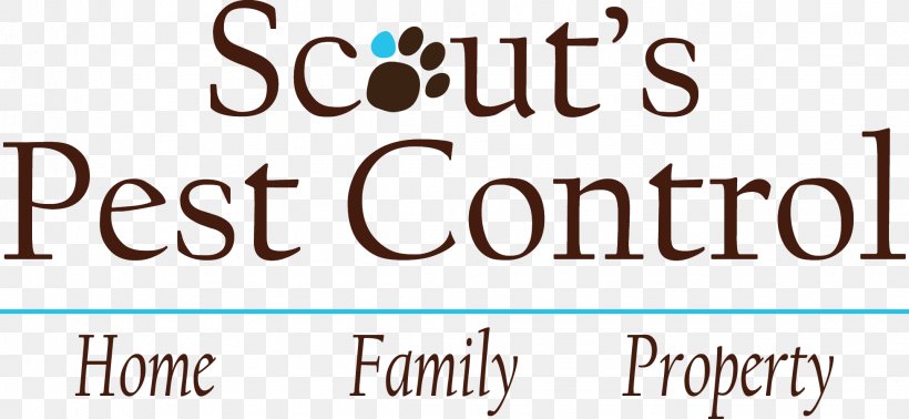 Lawyer Scout's Pest Control Mediation Jet Roller Club Genève, PNG, 1952x900px, Lawyer, Area, Brand, Child Custody, Division Of Property Download Free