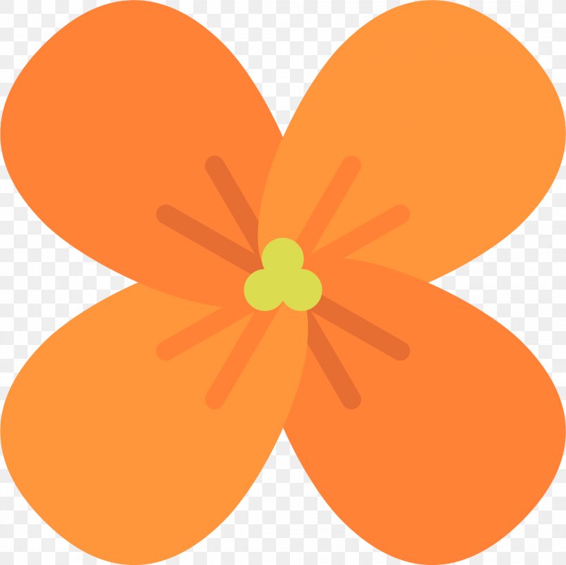 Petal Orange Blossom Citrus × Sinensis Flower, PNG, 2135x2134px, Petal, Bath Bomb, Bathing, Citrus, Citrus Sinensis Download Free