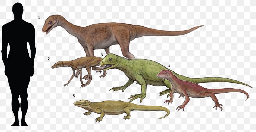Reptile Velociraptor Silesaurus Omeisaurus Scutellosaurus, PNG, 1156x600px, Reptile, Animal, Animal Figure, Dinosaur, Extinction Download Free
