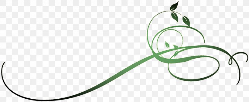 Clip Art Leaf Product Plant Stem Flower, PNG, 900x369px, Leaf, Area, Design M Group, Flower, Green Download Free