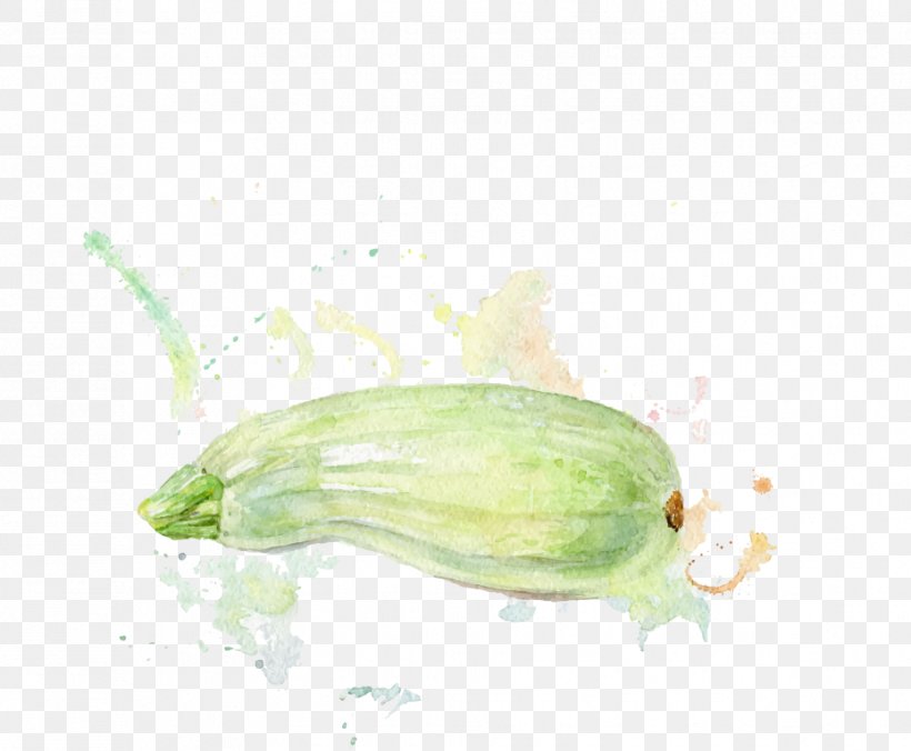 Cucumber Zucchini Melon Watercolor Painting Illustration, PNG, 929x766px, Cucumber, Auglis, Cucumber Gourd And Melon Family, Cucumis, Depositphotos Download Free