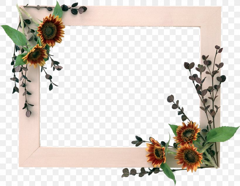 Picture Frames Photography Wallpaper, PNG, 1544x1200px, Picture Frames, Butterfly, Cut Flowers, Decor, Decorative Arts Download Free