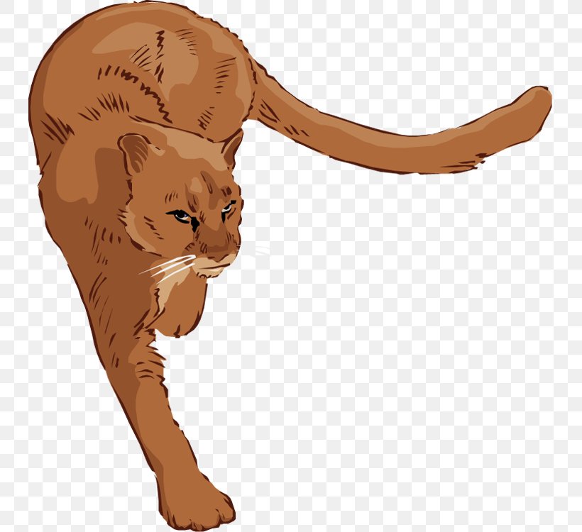 Cougar Lion Clip Art, PNG, 739x750px, Cougar, Animation, Big Cat, Big Cats, Blog Download Free