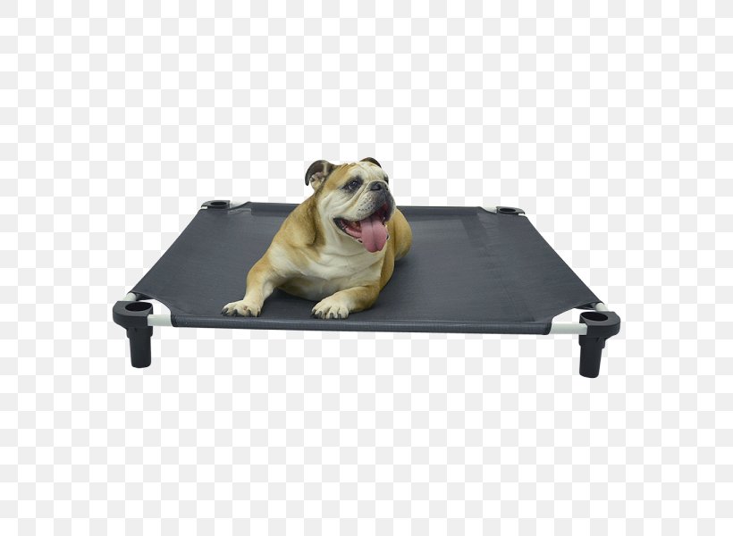 Dog Breed Cat Bed Pet, PNG, 600x600px, Dog Breed, Bed, Breed, Camp Beds, Campervans Download Free