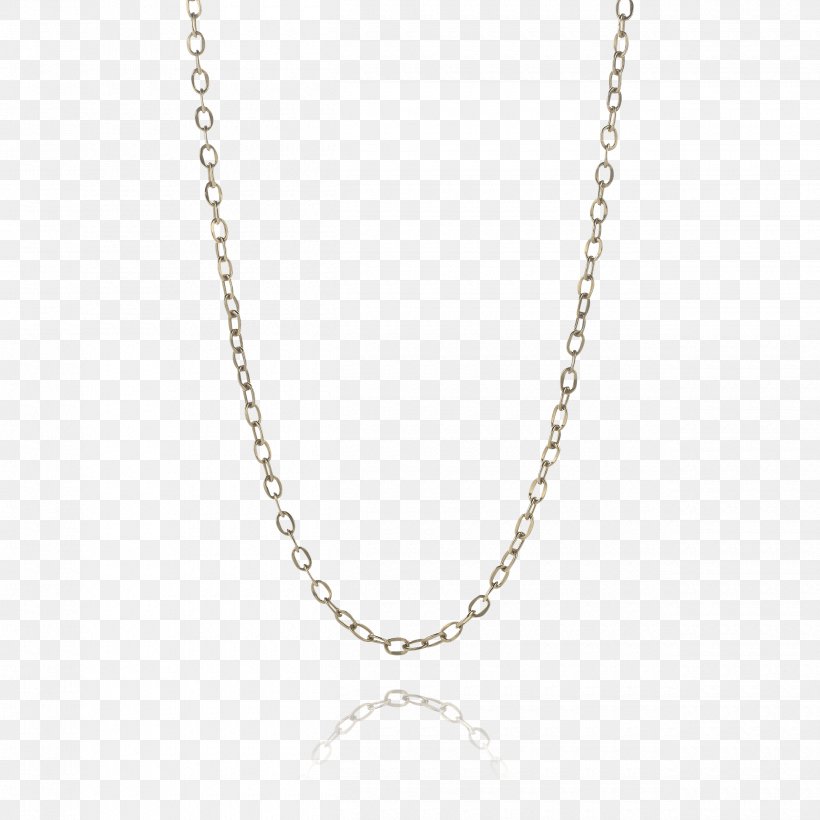 Necklace Earring Jewellery Chain Charms & Pendants, PNG, 2500x2500px, Necklace, Body Jewelry, Bracelet, Chain, Charm Bracelet Download Free