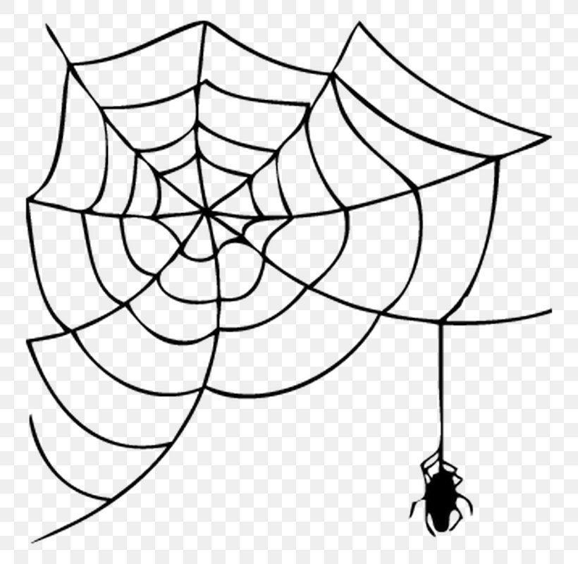 Spider Web Clip Art Image Drawing, PNG, 800x800px, Spider, Area, Artwork, Black And White, Branch Download Free