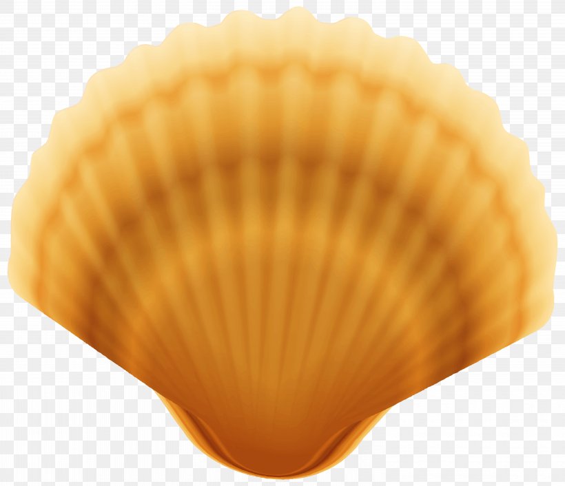 Cockle Clam Scallop Seashell, PNG, 6000x5172px, Cockle, Candle, Christmas, Christmas Decoration, Christmas Ornament Download Free