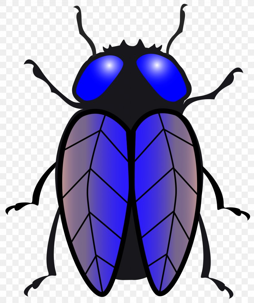 Housefly Insect Clip Art, PNG, 2007x2400px, Fly, Arthropod, Artwork, Beetle, Black And White Download Free