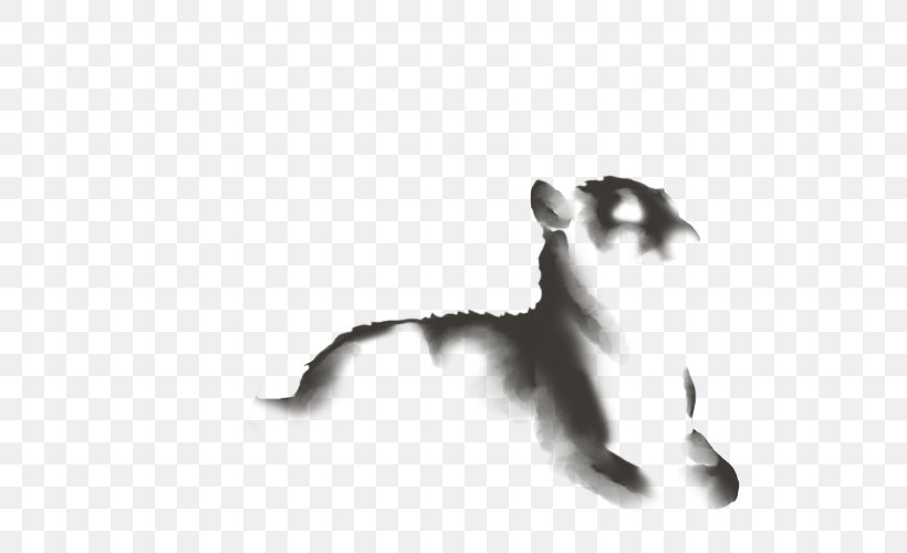 Cat Wikia Lion Dog, PNG, 640x500px, Cat, Animal, Black, Black And White, Black Cat Download Free