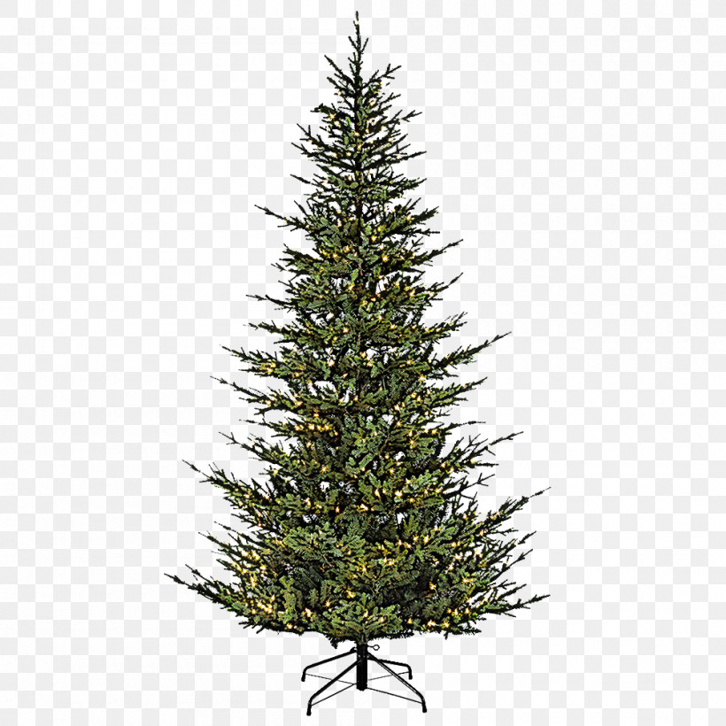 Christmas Tree, PNG, 1000x1000px, Shortleaf Black Spruce, American Larch, Arizona Cypress, Balsam Fir, Canadian Fir Download Free