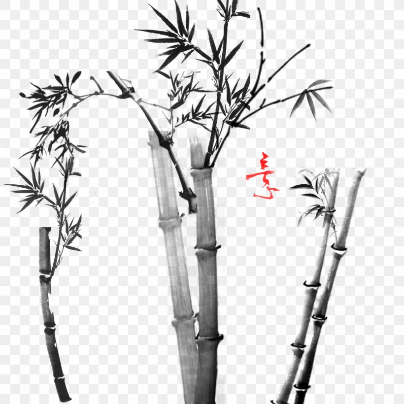 Download Elements, Hong Kong Bamboo Google Images, PNG, 2500x2500px, Elements Hong Kong, Adobe Freehand, Bamboo, Black And White, Branch Download Free
