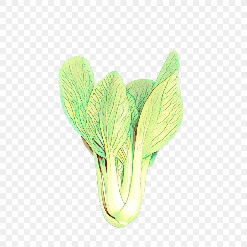 Green Leaf Plant Vegetable Flower, PNG, 1200x1200px, Green, Cabbage, Chinese Cabbage, Flower, Leaf Download Free