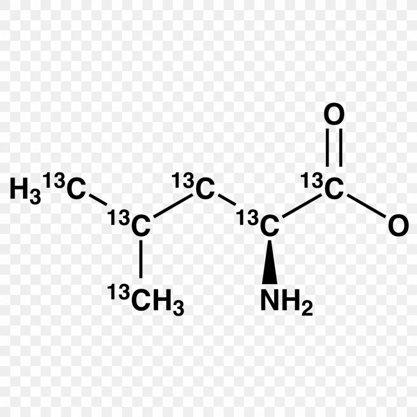 Methionine Acetone Propionaldehyde Amino Acid Methyl Group, PNG, 1200x1200px, Methionine, Acetone, Amino Acid, Area, Black Download Free