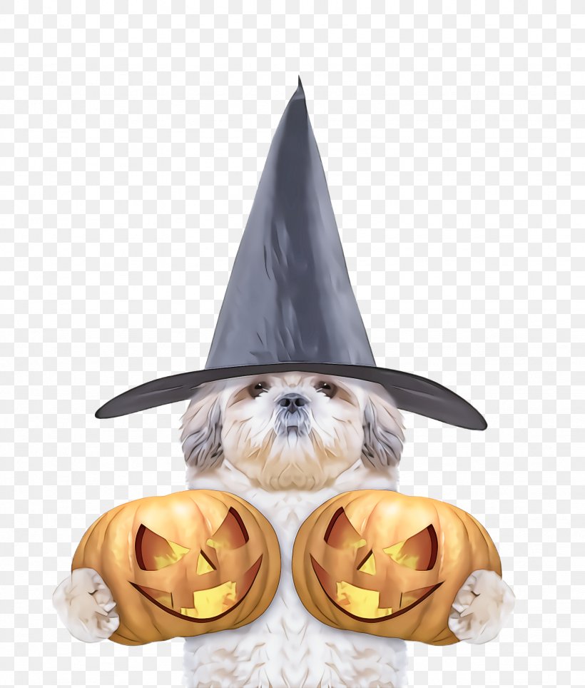 Party Hat, PNG, 1844x2168px, Witch Hat, Costume, Costume Hat, Hat, Headgear Download Free
