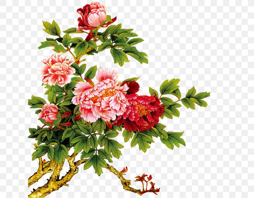 Download Moutan Peony Clip Art, PNG, 640x640px, Moutan Peony, Annual Plant, Chrysanths, Computer Software, Cut Flowers Download Free