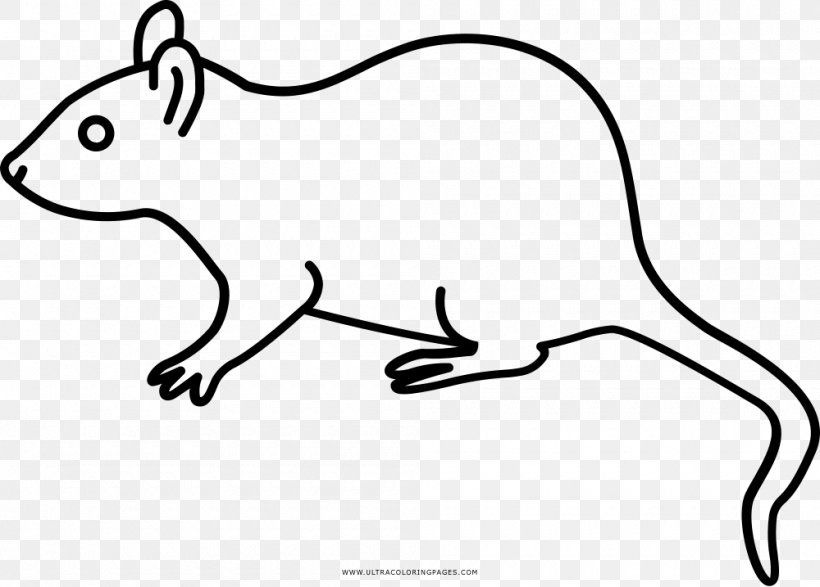 Rat Coloring Book Drawing Child Clip Art, PNG, 1000x717px, Rat, Animal, Animal Figure, Artwork, Black And White Download Free