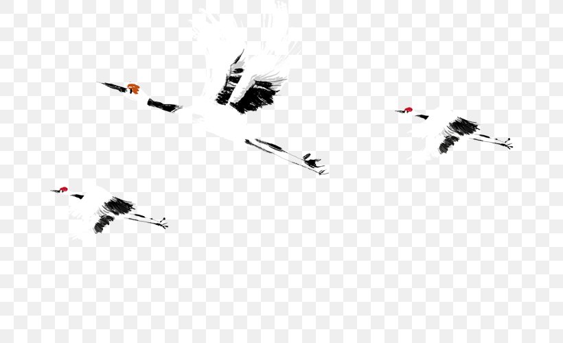 Red-crowned Crane Bird Flight, PNG, 676x500px, Crane, Bird, Flight, Games, Google Images Download Free