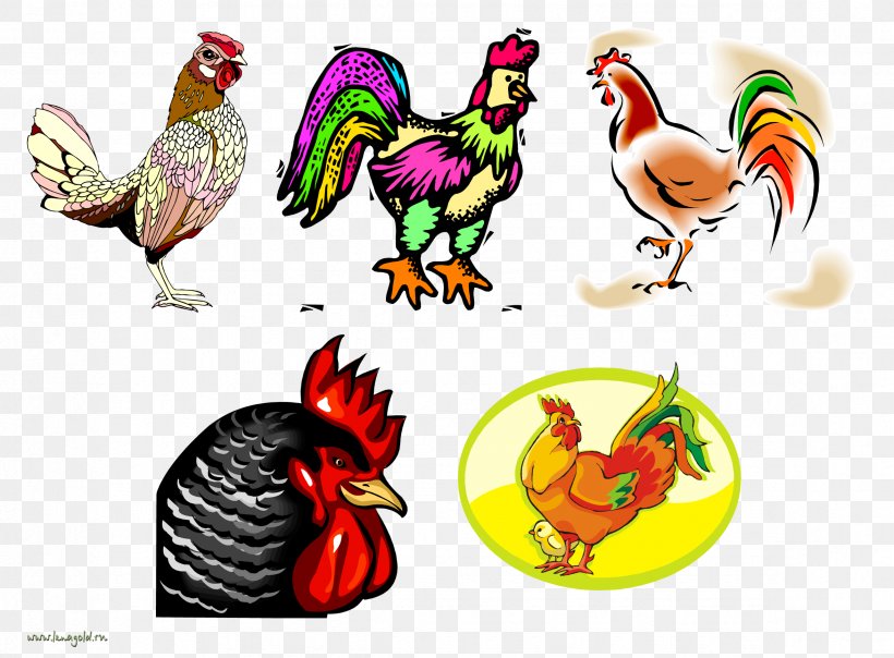 Rooster Chicken Clip Art JPEG, PNG, 2351x1732px, 2018, Rooster, Beak, Bird, Chicken Download Free