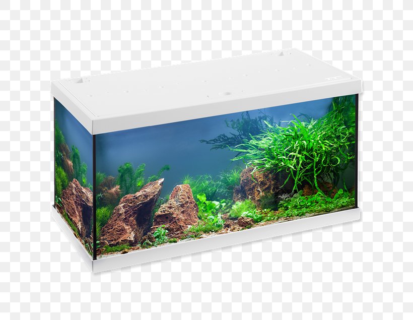 Aquarium Light-emitting Diode Eheim Lighting, PNG, 635x635px, Aquarium, Aquarium Decor, Aquarium Filters, Aquarium Furniture, Aquarium Lighting Download Free