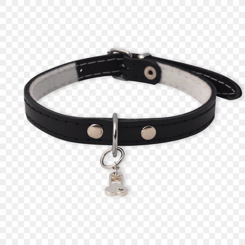 Bracelet Dog Collar Necklace, PNG, 1240x1240px, Bracelet, Animal, Belt Buckle, Belt Buckles, Buckle Download Free