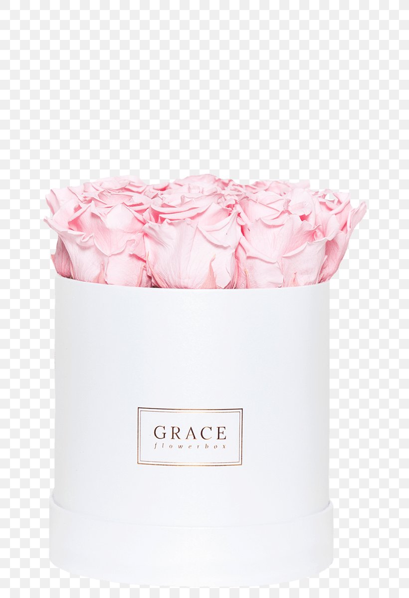 Flavor Pink M Cream, PNG, 723x1200px, Flavor, Cream, Peach, Petal, Pink Download Free