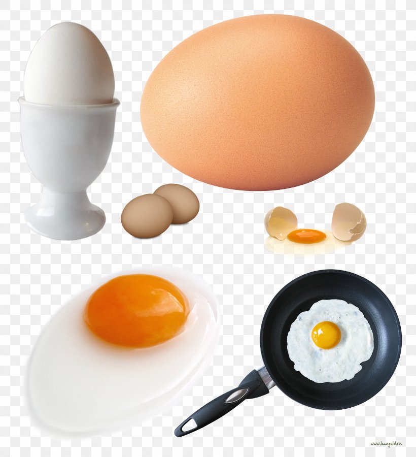 Fried Egg Omelette Fried Chicken Frying Pan, PNG, 2802x3078px, Fried Egg, Baking, Boiled Egg, Bread, Cooking Download Free