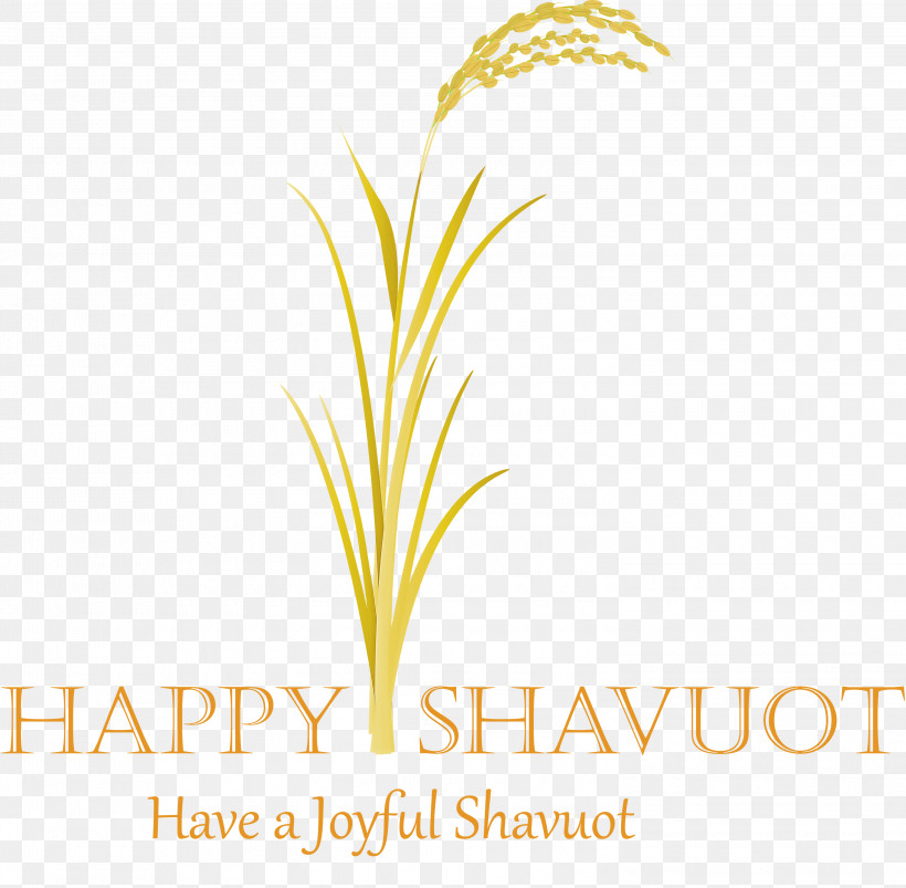 Happy Shavuot Shavuot Shovuos, PNG, 3000x2938px, Happy Shavuot, Grass, Grass Family, Leaf, Line Download Free