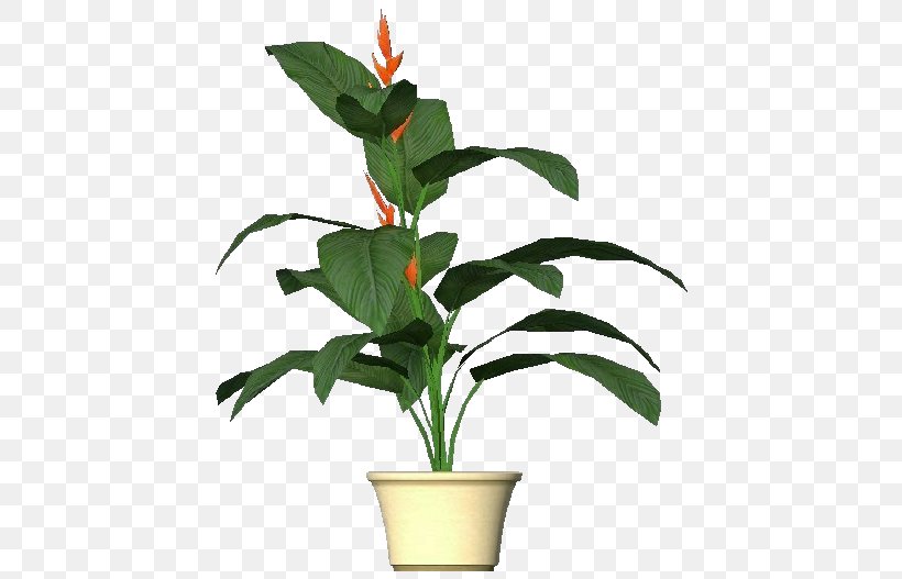 Heliconia Subulata Lobster-claws Plants 3-D Plant Computer Software, PNG, 750x527px, 3d Computer Graphics, Lobsterclaws, Building Information Modeling, Computer Software, Construction Download Free