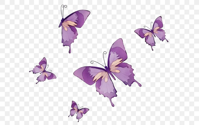 Purple Watercolor Flower, PNG, 600x517px, Watercolor, Bellflower, Bellflower Family, Brushfooted Butterflies, Butterflies Download Free