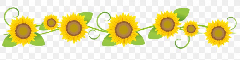 Sunflower Flower Line Art., PNG, 1000x250px, Watercolor, Cartoon, Flower, Frame, Heart Download Free