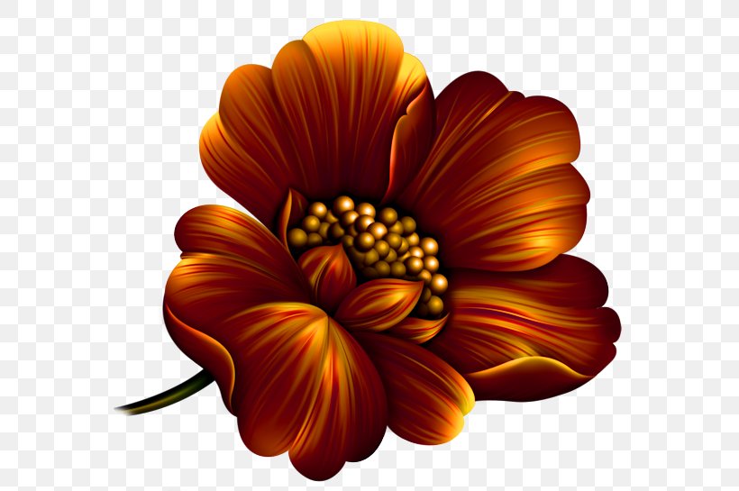 The Divan Of Hafez Fortune-telling Chrysanthemum Le Coffret De Mélusine Computer Program, PNG, 600x545px, Divan Of Hafez, Chrysanthemum, Chrysanths, Computer Program, Cut Flowers Download Free