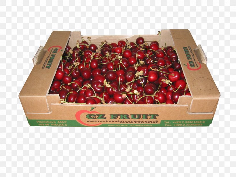 Cherry, PNG, 1318x988px, Cherry, Box, Fruit Download Free