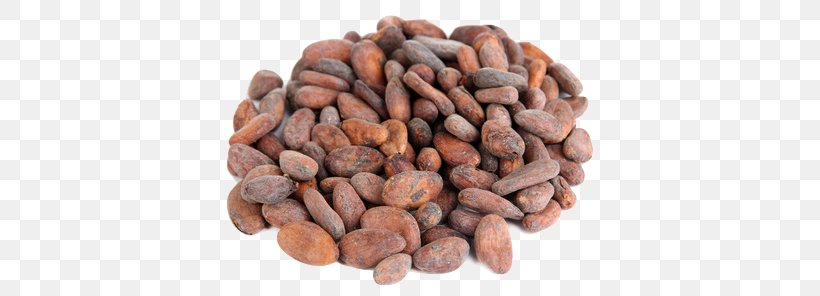 Cocoa Bean Criollo Cocoa Solids Chocolate Food, PNG, 406x296px, Cocoa Bean, Bean, Chocolate, Cocoa Solids, Commodity Download Free